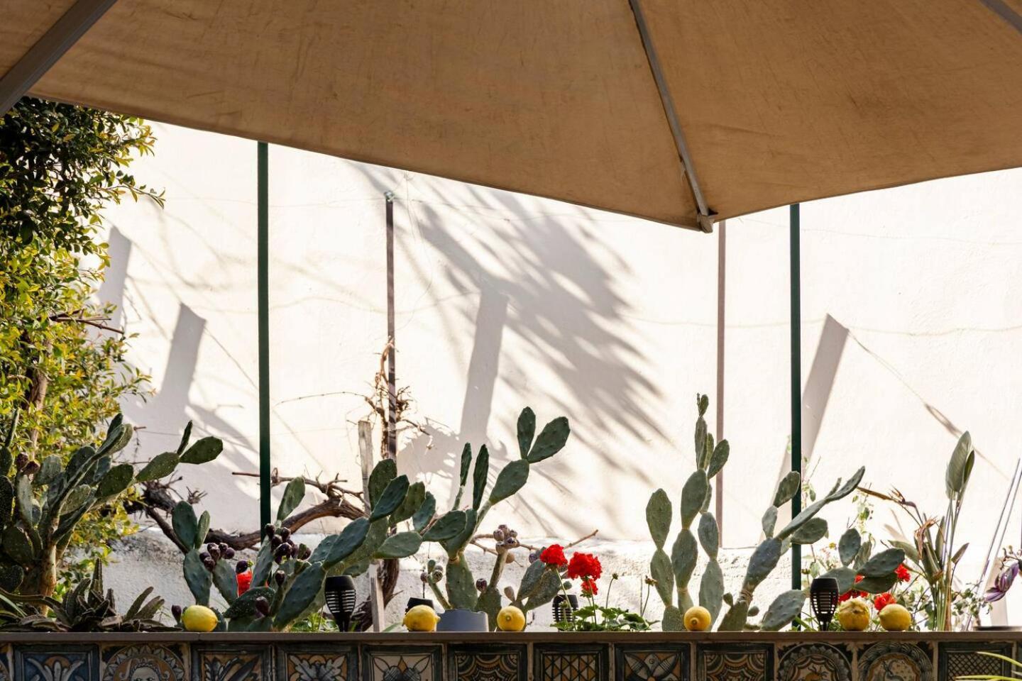 Maridda - Sicilian Vacation Home Giarre Εξωτερικό φωτογραφία